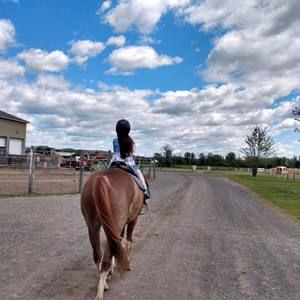 Meet your Posher, Mehran